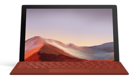 河口清洁和维护 Surface